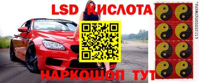 прущие крисы Кулебаки