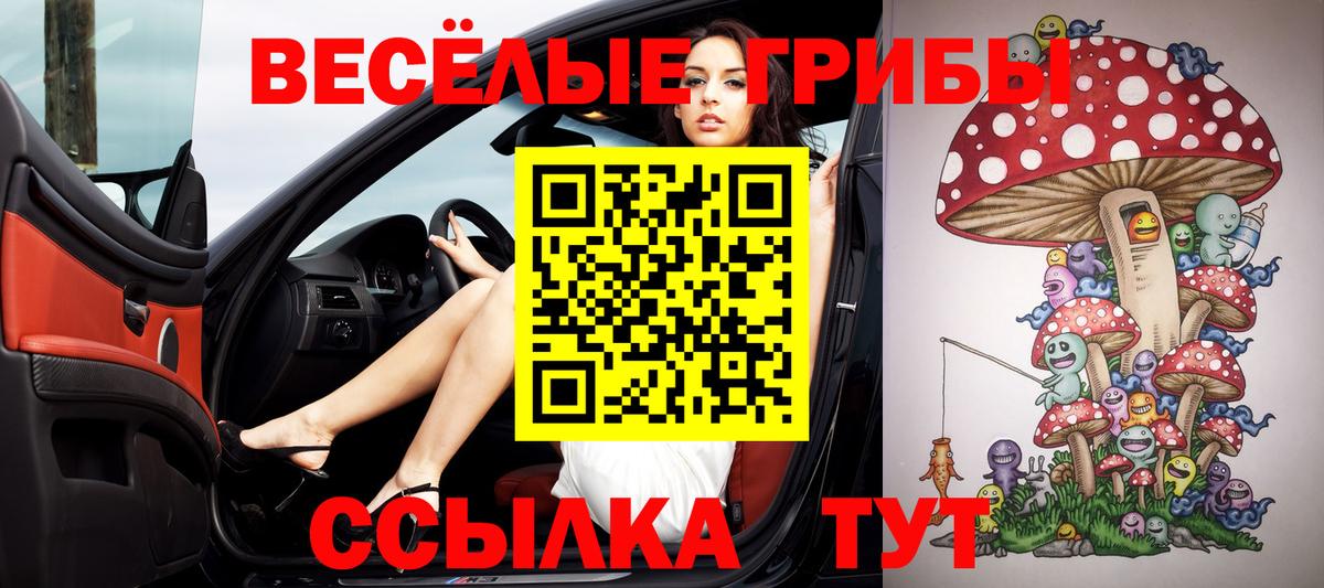 Галлюциногенные грибы мицелий Заводоуковск